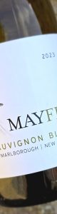 20240802_152348 mayfly