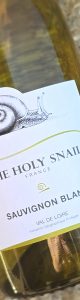 20241003_114042 holy snail