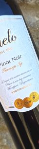 20241003_121830 Pinot Noir