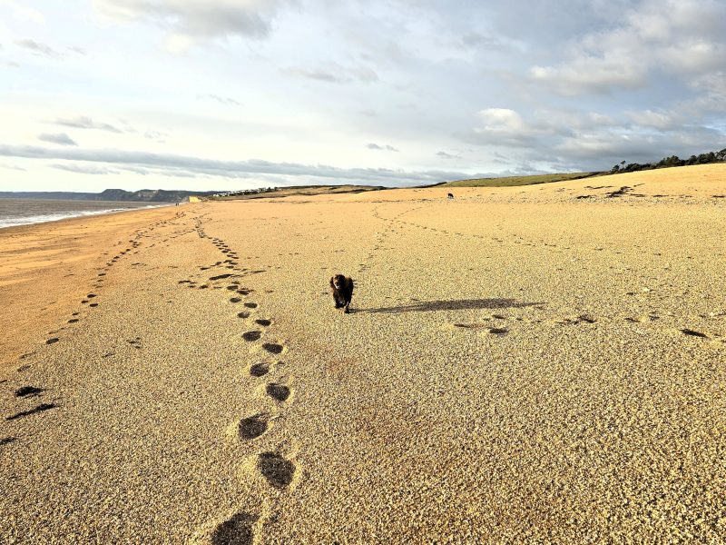 beach walk